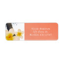 Search for plumeria return address labels Floral