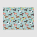 Search for dachshund tissue paper Doxie