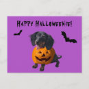 Search for dachshund dog postcards Funny
