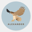Search for red tailed hawk stickers Birds of prey