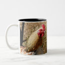 Search for rooster mugs Poultry