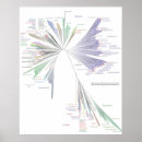 Search for science tree posters Life