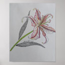 Search for tiger lily art Drawing