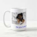Search for cavalier mugs Spaniels