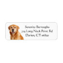 Search for love dogs return address labels Golden retriever