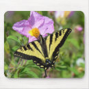 Search for swallowtail butterfly electronics Animal