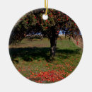 Search for rural christmas tree decorations Farmland