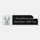 Search for australian cattle dog bumper stickers Acd