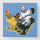 Search for brahma art Chicken