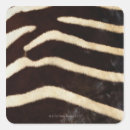 Search for hiding stickers Animal