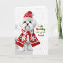 Search for shih tzu christmas cards Pets