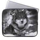 Search for wolves cases Snow