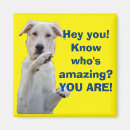 Search for amaze magnets Encouragement