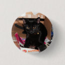 Search for cat badges Black