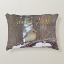 Search for cardinal christmas cushions Nature