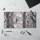 Search for tailed hawk electronics Wildlife