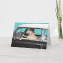 Search for laboratory photography Yellow lab