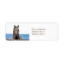 Search for horses return address labels Beautiful