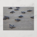 Search for el salvador postcards Central america