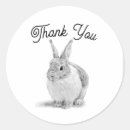 Search for vintage bunny stickers Thank you
