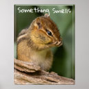 Search for smells posters Nature
