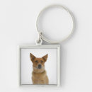 Search for content key rings Dog