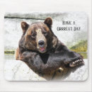 Search for grin electronics Bear