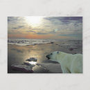 Search for arctic ocean postcards Water