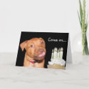 Search for pitbull birthday cards Puppy