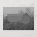 Search for old barn postcards Trees