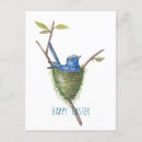 Search for spring bird postcards Nest