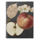 Search for apple ii Apples