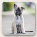 Search for german shepherd coasters Baby