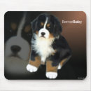 Search for bernese mountain dog mousepads Dogs