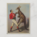 Search for funny animal postcards Vintage
