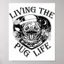 Search for cute funny pugs posters Humor