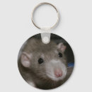 Search for curious key rings Photography