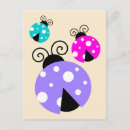 Search for ladybug postcards Ladybirds