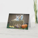 Search for pet halloween cards Fall