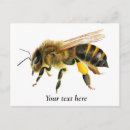Search for bee painting postcards Wildlife