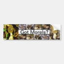 Search for mushroom bumper stickers Morel