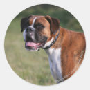 Search for bob and pam langrish stickers Fawn