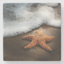 Search for one animal barware Starfish