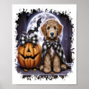 Search for labradoodle dog posters Animal
