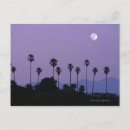 Search for hollywood postcards Fruit
