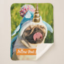 Search for funny pug blankets Pet