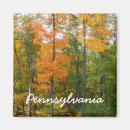Search for fall tree magnets Nature