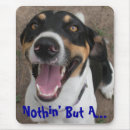 Search for hound photography Animals