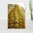 Search for yellow corn cards Vegetable
