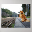 Search for dog training posters Animal